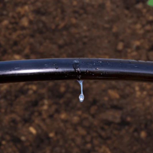 Irritec 1/2" PC Emitter Tubing 9" Spacing dripping water onto soil