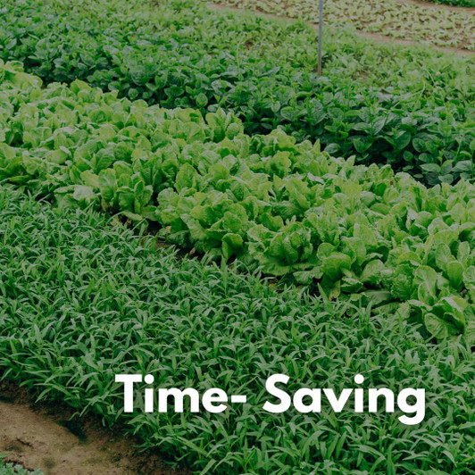 Drip irrigation Row Crop Farming