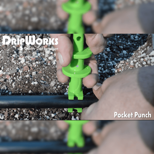 Pocket Punch