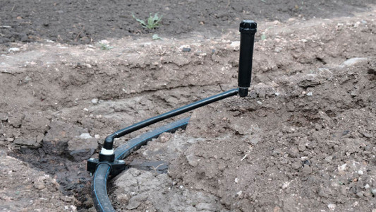 How to Water Hanging Plants Efficiently: Expert Tips for Thriving Greens