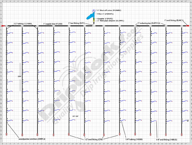 Orchard and Vineyard Plan 9