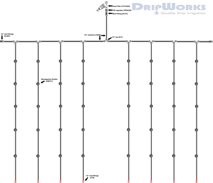 Orchard and Vineyard Plan 2