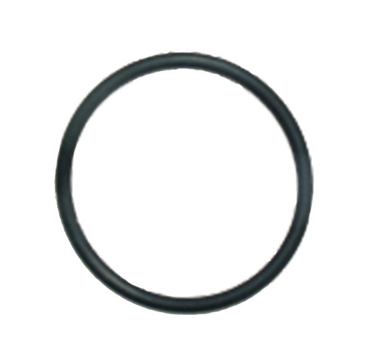 Manifold Nipple O-Ring