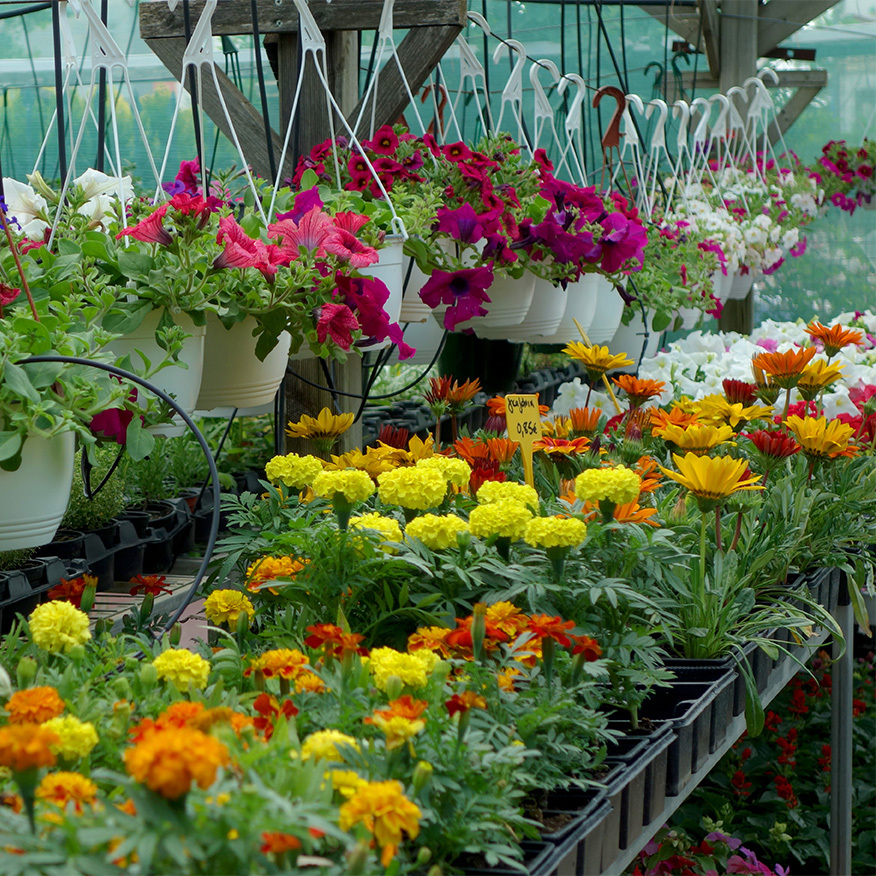 nursery