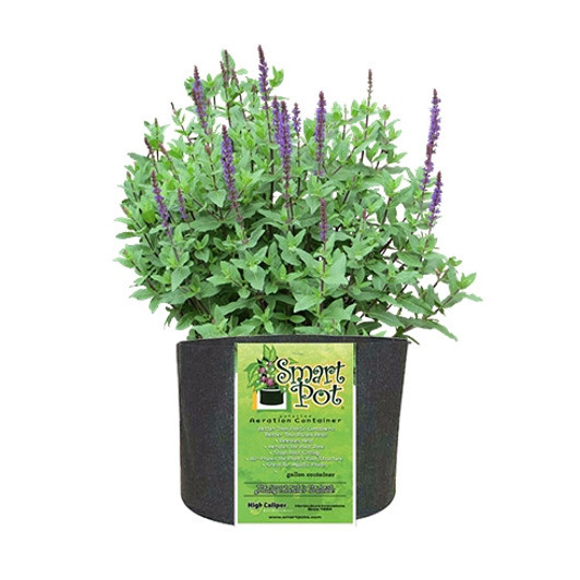 smart-pot-fabric-containers