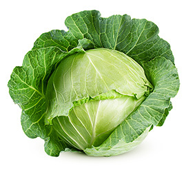 Cabbage Growing Guide