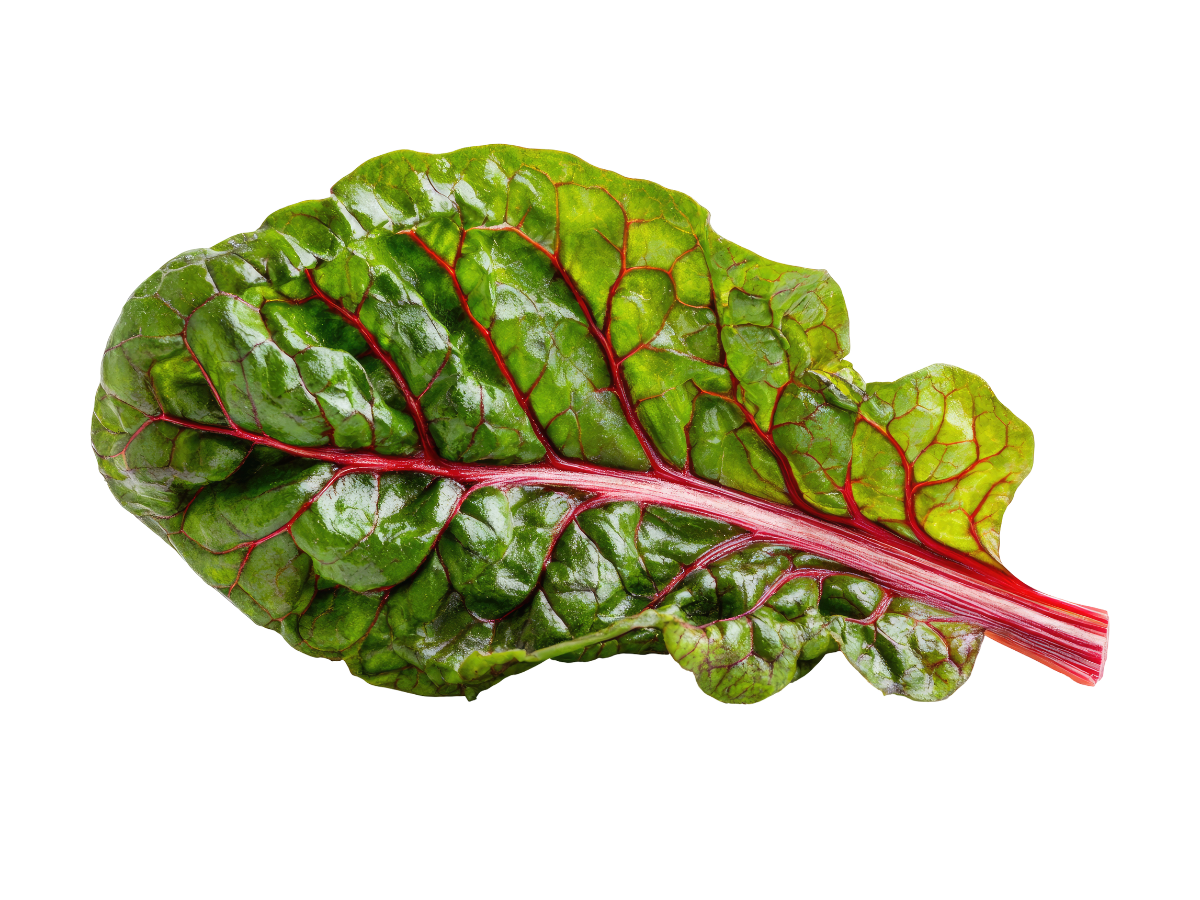 Swiss Chard Growing Guide