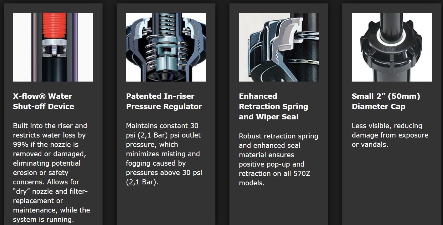 toro1___70607.1694496506.JPG?c=1