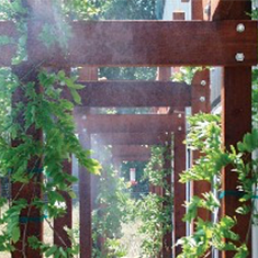 greenhouse-misting