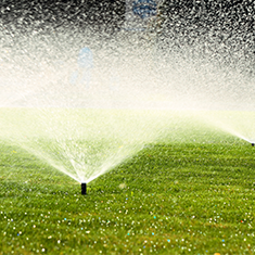 sprinkler-to-drip-conversion