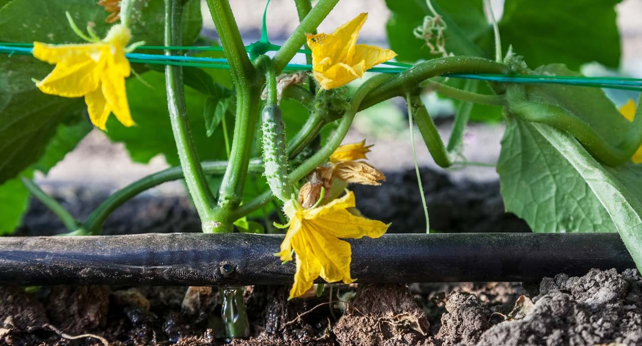 Drip Irrigation 3/4 Mainline Tubing