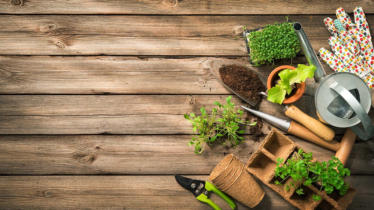 Winter Garden Preparation for Spring Winter Garden Preparation for Spring