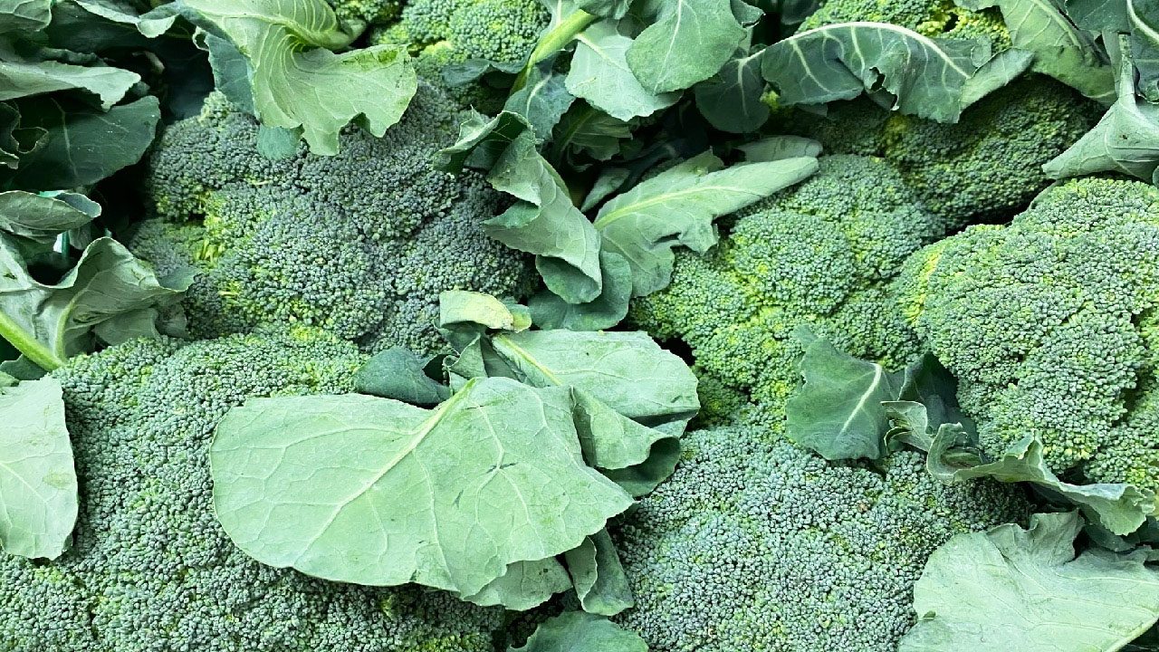 20 Winter Vegetables to Grow in Your Garden 20 Winter Vegetables to Grow in Your Garden