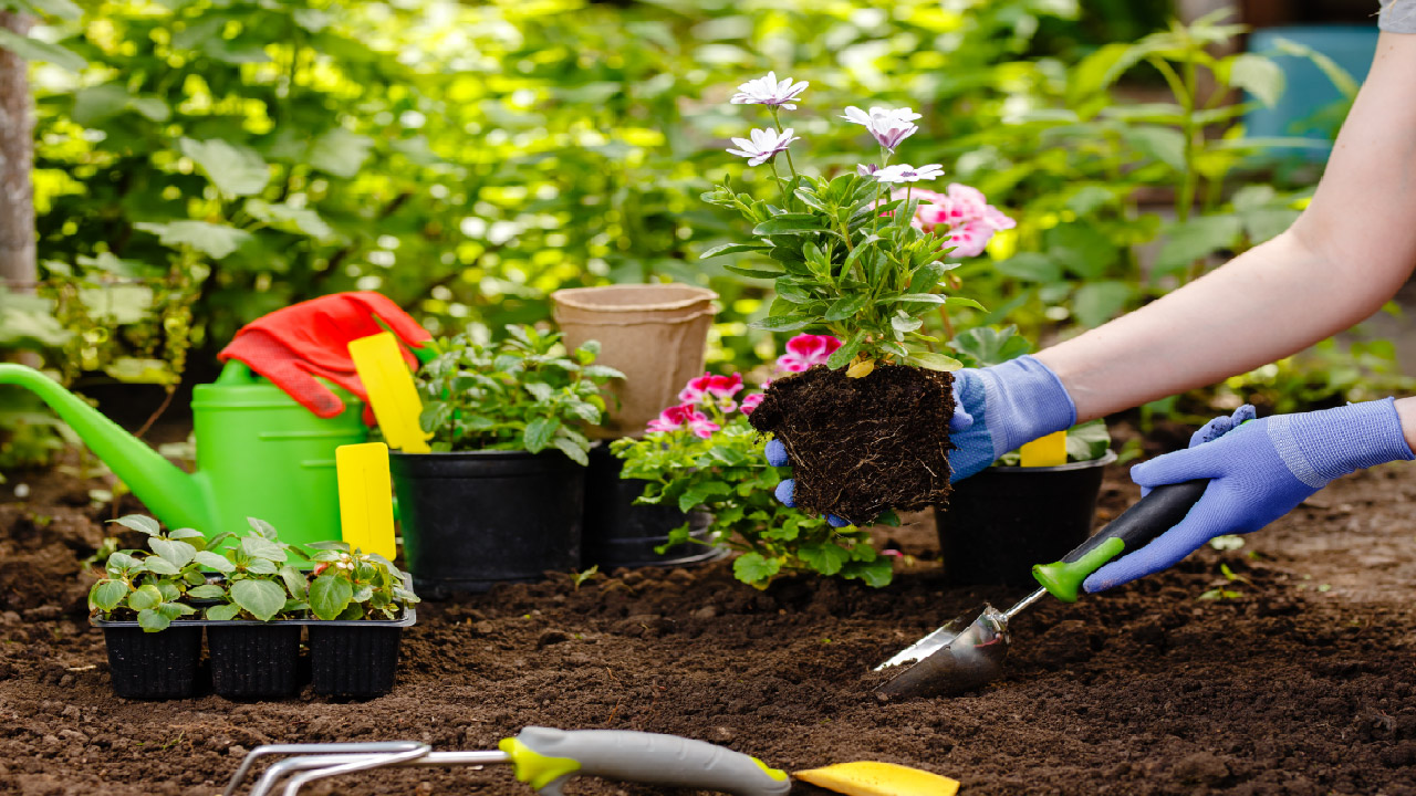 Spring Gardening Checklist for 2023 Spring Gardening Checklist for 2023