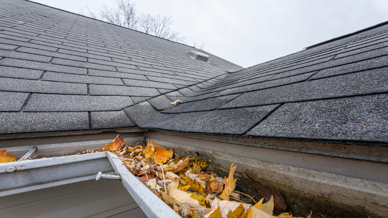 Spring Gutter Maintenance and Cleaning Spring Gutter Maintenance and Cleaning