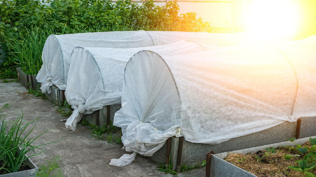 Cold Climate Gardening Cold Climate Gardening