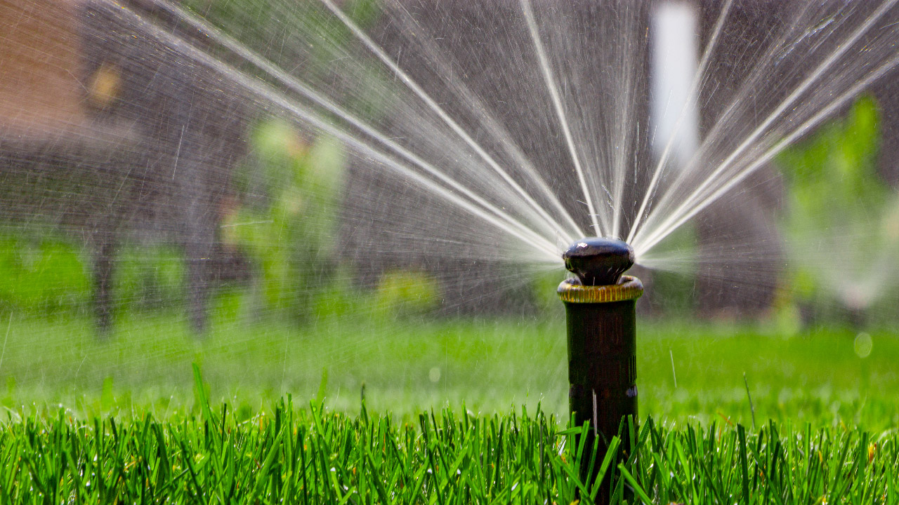 Common Sprinkler Coverage Problems Dry Spots and Broken Heads Common Sprinkler Coverage Problems Dry Spots and Broken Heads