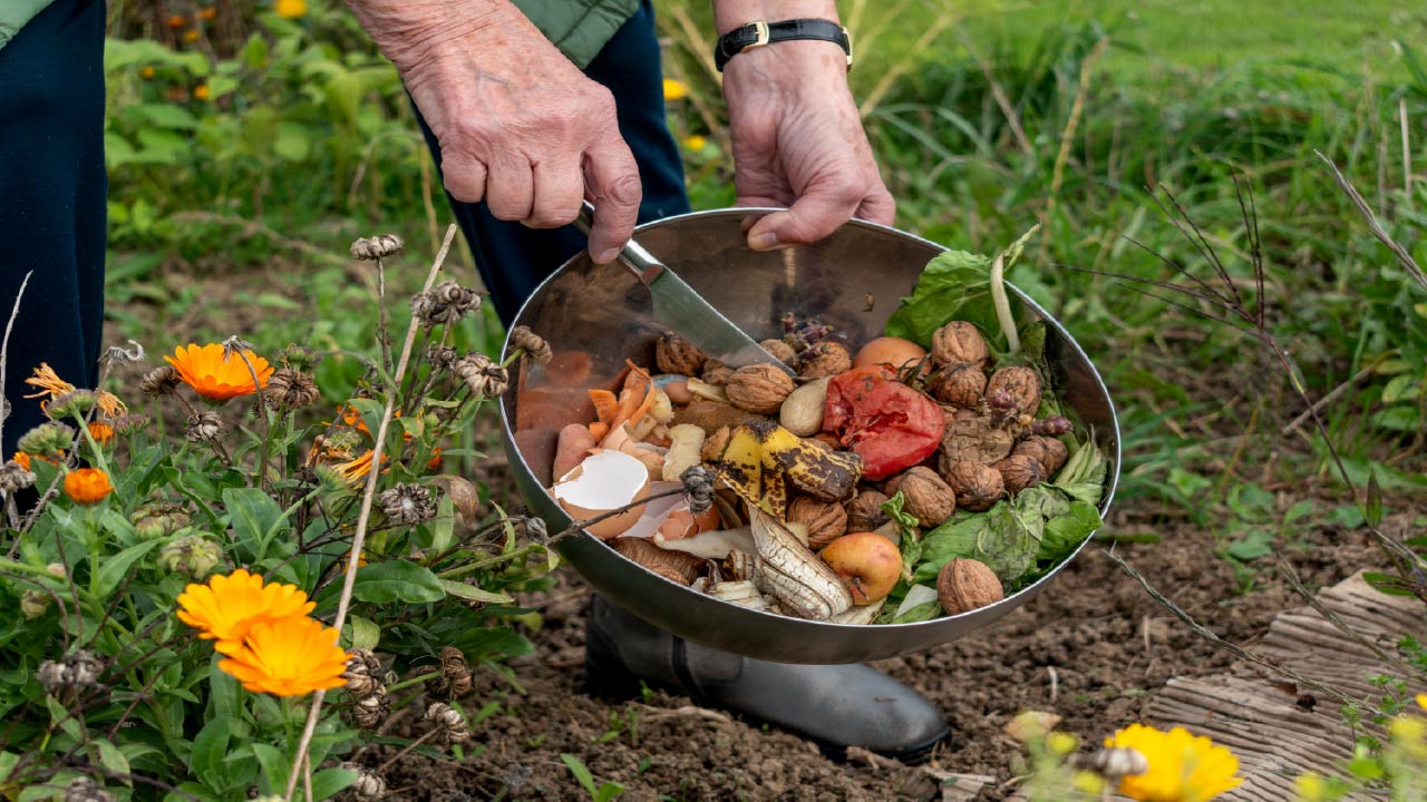 Trench Composting: What Happens When You Bury Kitchen Scraps
