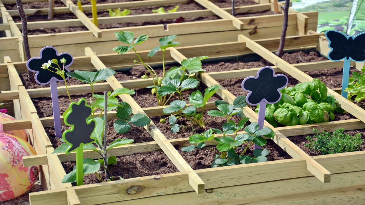 A Complete Guide to Planning a Square Foot Garden