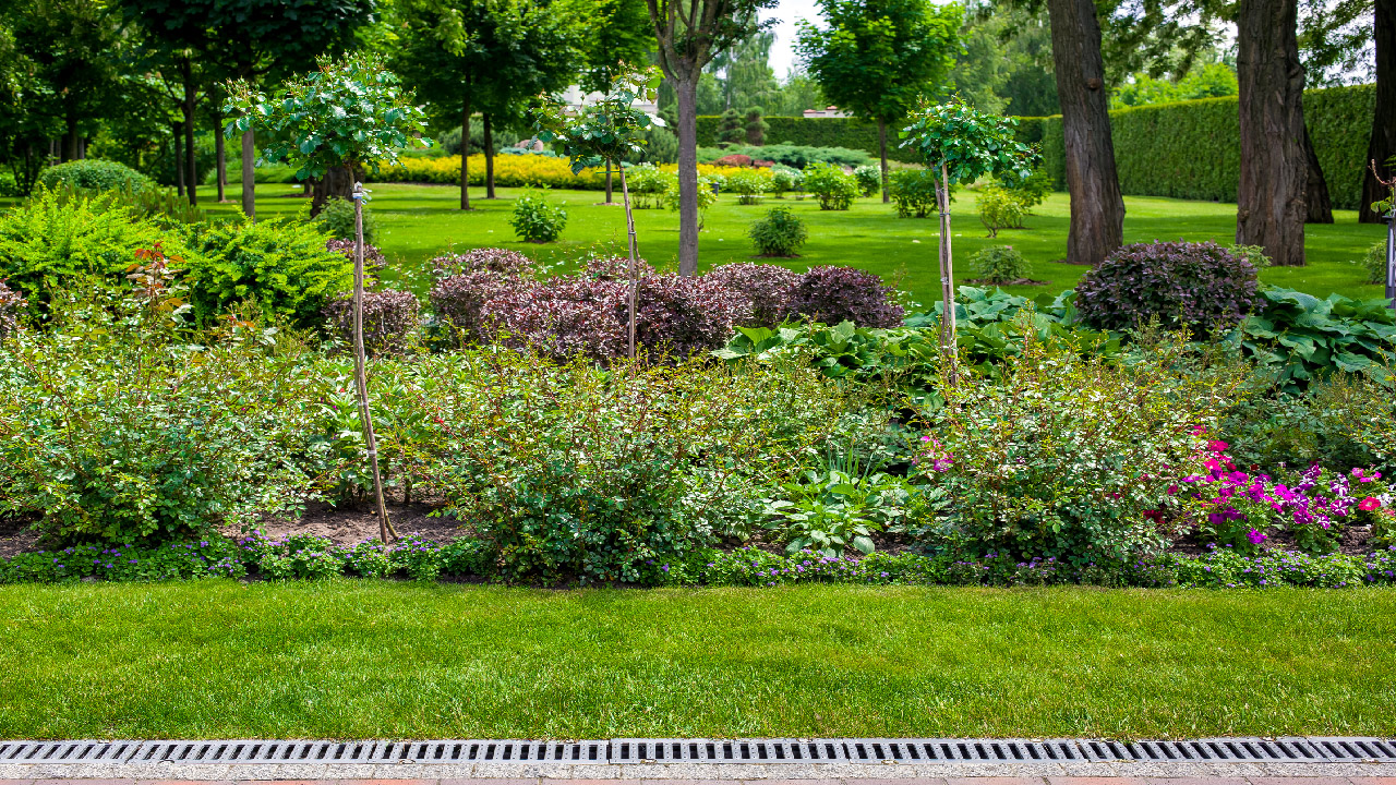How to Prevent Future Flooding in Your Yard with Proper Drainage? How to Prevent Future Flooding in Your Yard with Proper Drainage?