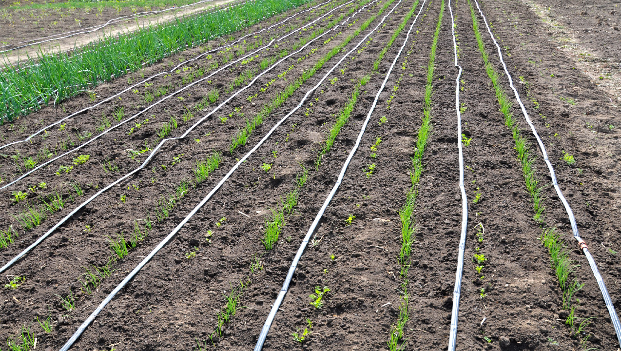 Drip Irrigation Systems: Troubleshooting and Repair Guide Drip Irrigation Systems: Troubleshooting and Repair Guide