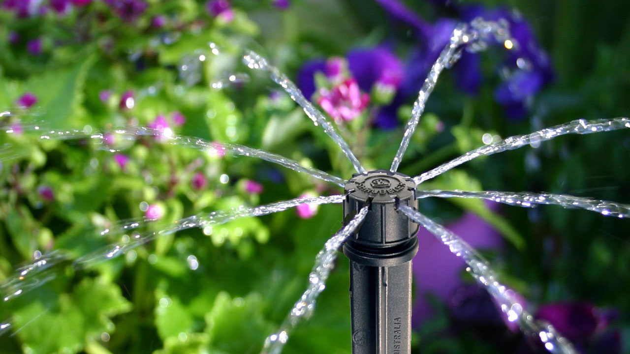 Drip Irrigation for Beginners Drip Irrigation for Beginners