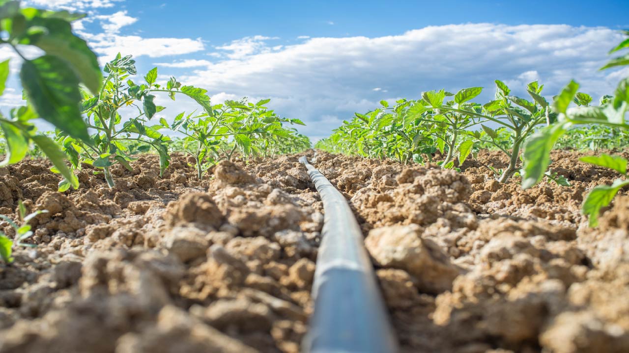 How to Repair a Drip Irrigation System  How to Repair a Drip Irrigation System