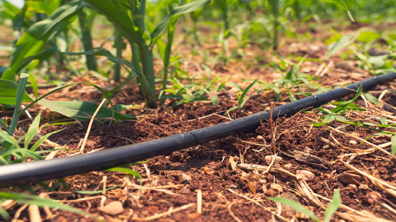 Top 5 Favorite Drip Irrigation Systems for 2025 Top 5 Favorite Drip Irrigation Systems for 2025
