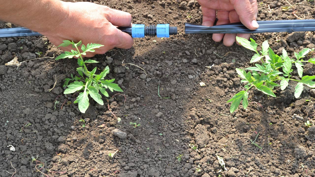 How to Repair Drip Tape: Fix Leaks, Holes, and Damaged Sections