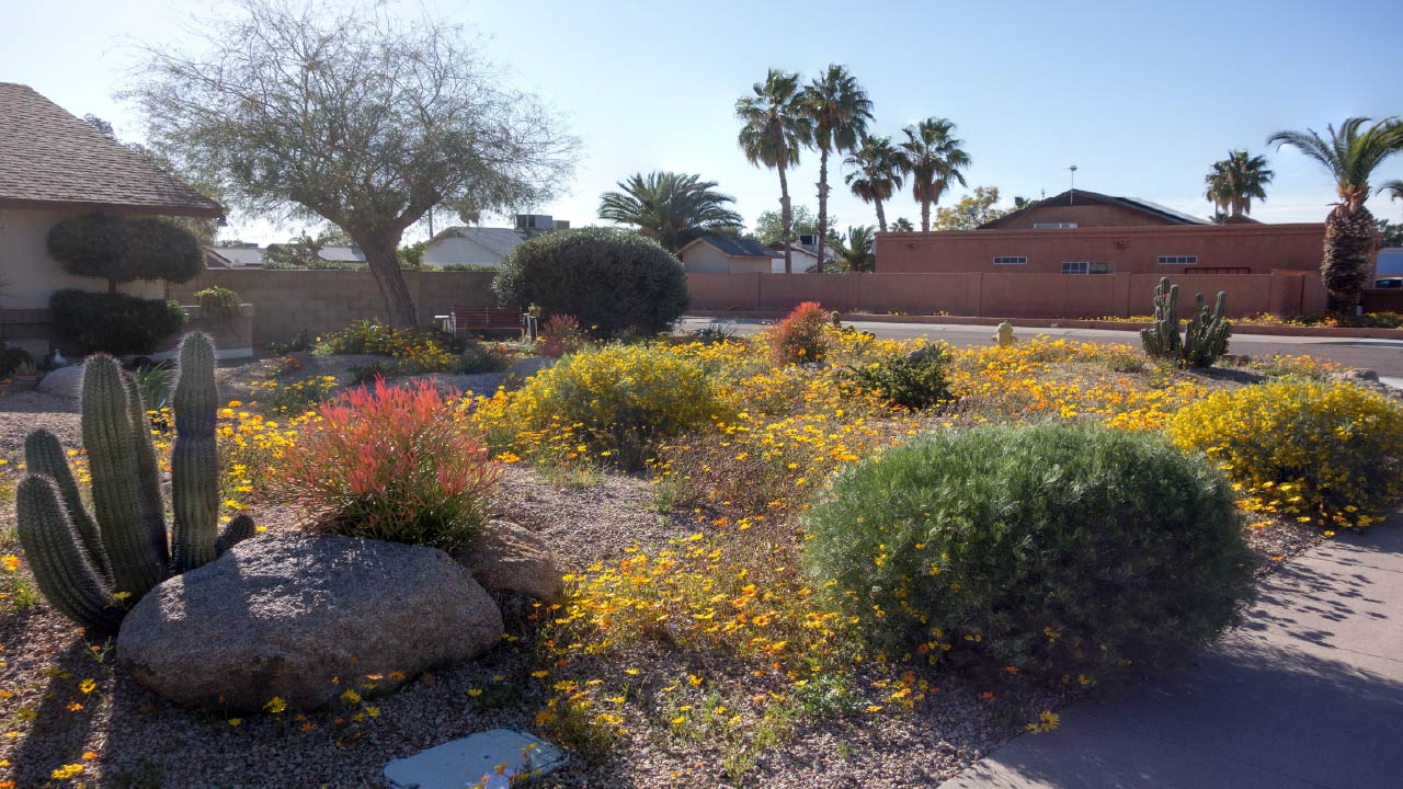 Eco-Friendly Garden Design: Sustainable Materials for a Greener Yard
