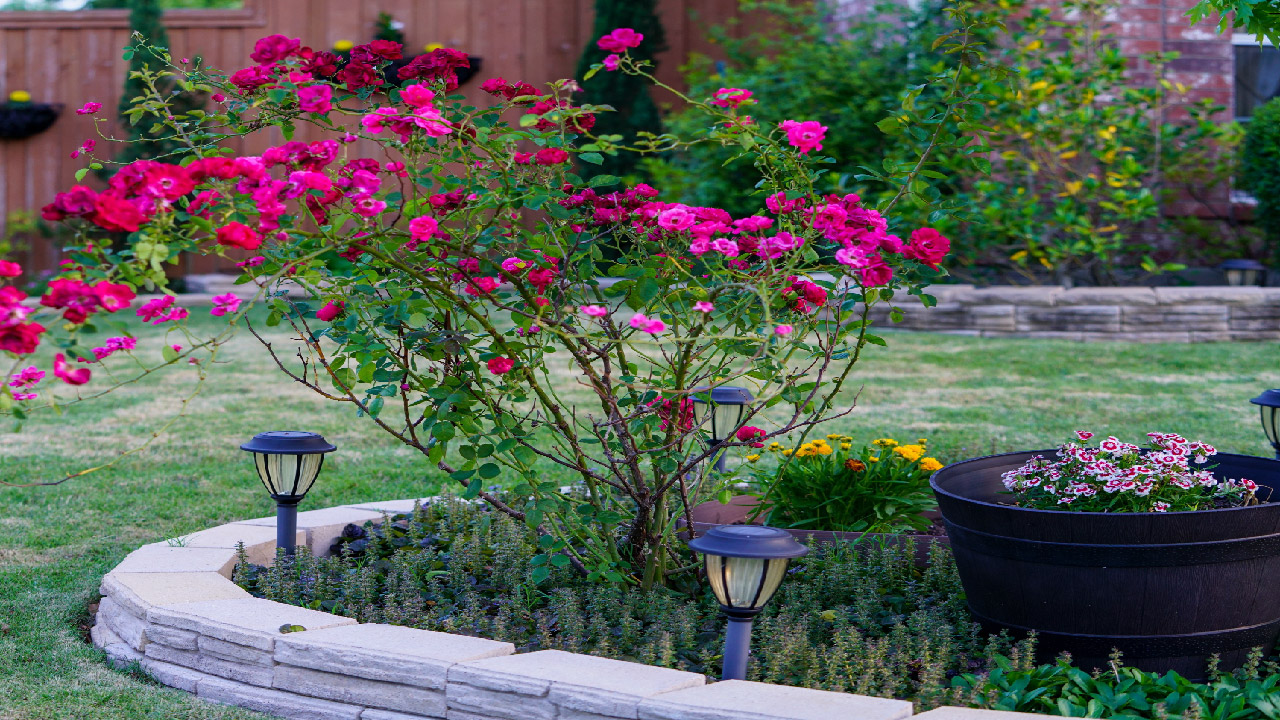 The Best Landscape Edging for Your Garden The Best Landscape Edging for Your Garden