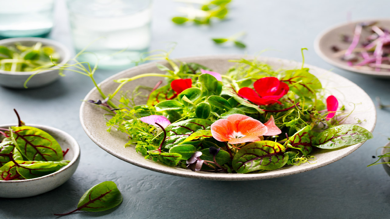 How to Create an Edible Landscape How to Create an Edible Landscape
