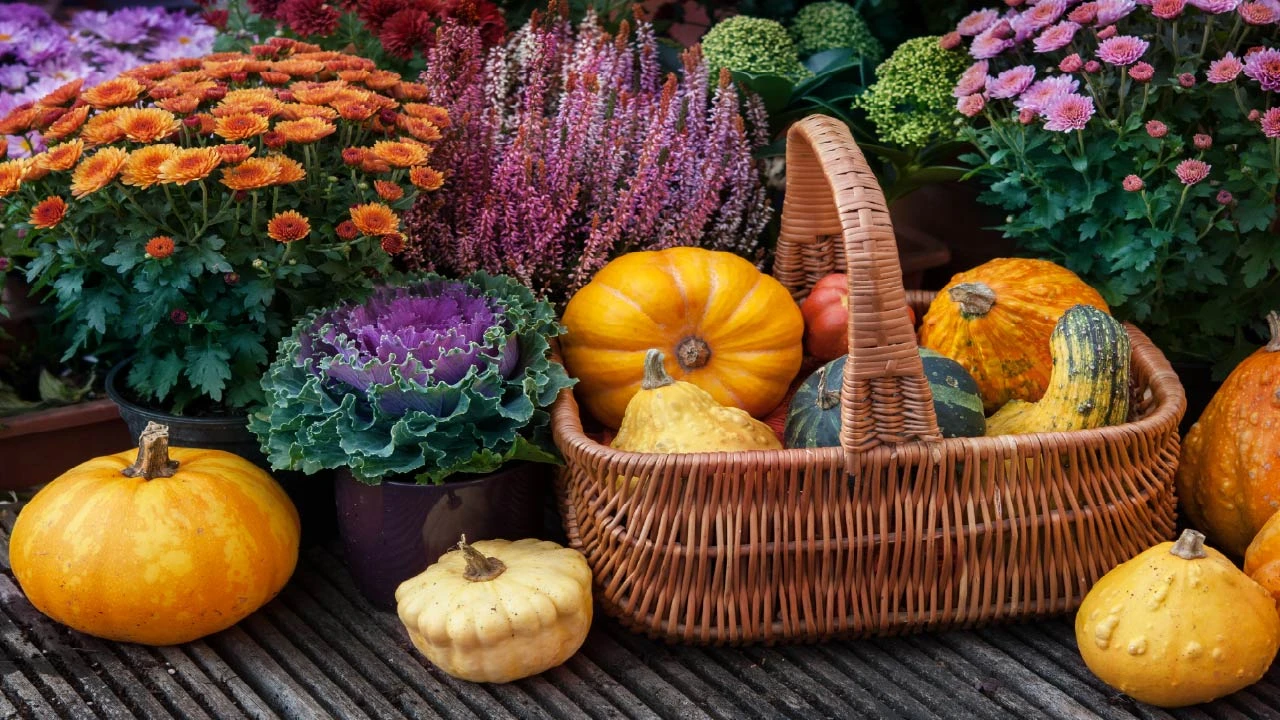 Fall and Winter Gardens: Important Planning Tips