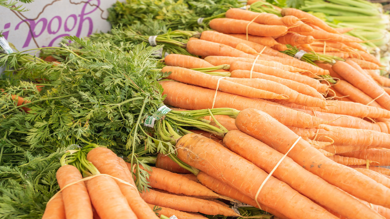 The Farmer’s Almanac: Fact vs. Fiction 