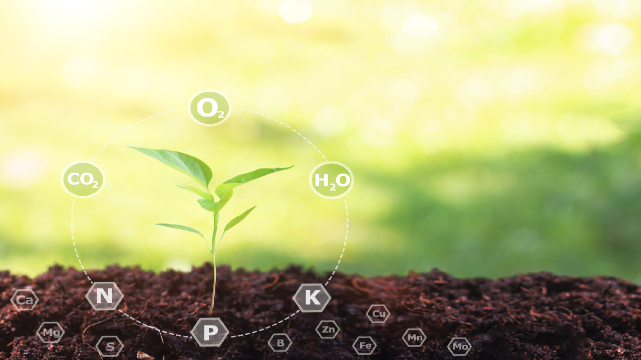 Fertilizer Numbers: How to Use the Fertilizer Numbers to Grow Better Fertilizer Numbers: How to Use the Fertilizer Numbers to Grow Better