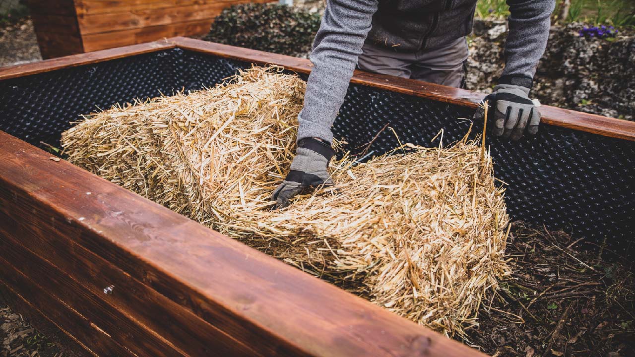 How to Fill and Plant in a Raised Garden Bed