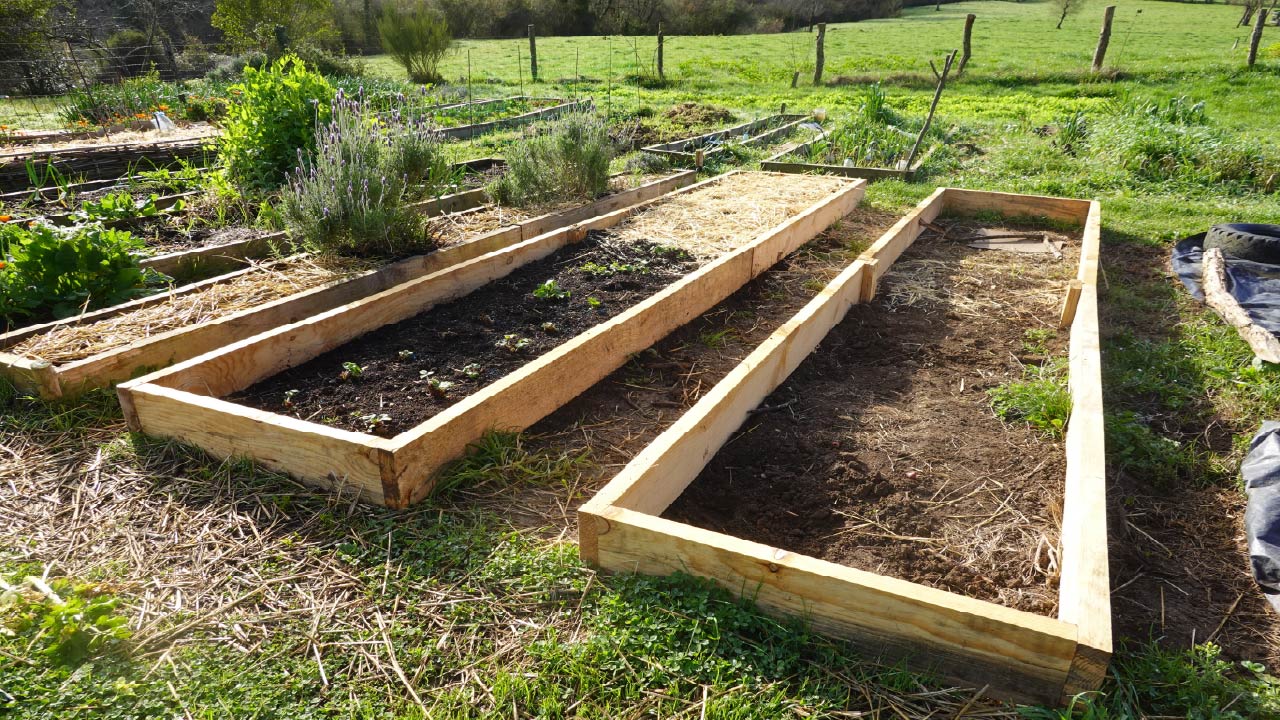 How to Build Excellent Soil for Raised Bed Gardens