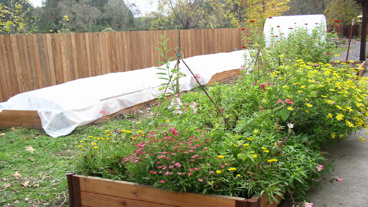 Winterizing Raised Garden Beds                                                         Winterizing Raised Garden Beds