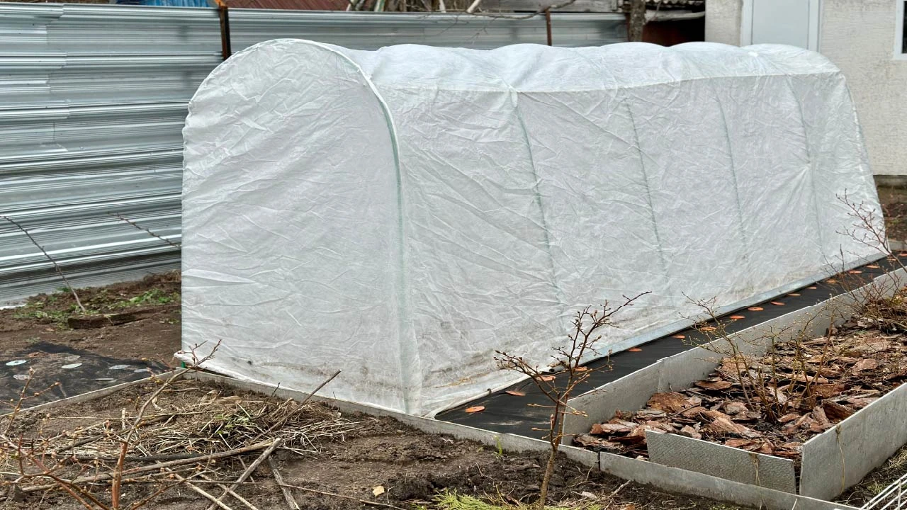 Cold Frames vs. Row Covers for Raised Beds