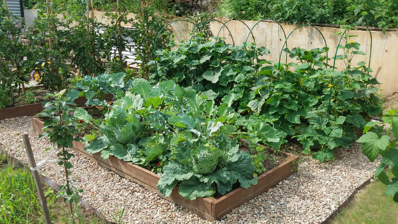 Top Raised Bed Garden Layouts and How to Choose the Right One for Your Garden Top Raised Bed Garden Layouts and How to Choose the Right One for Your Garden