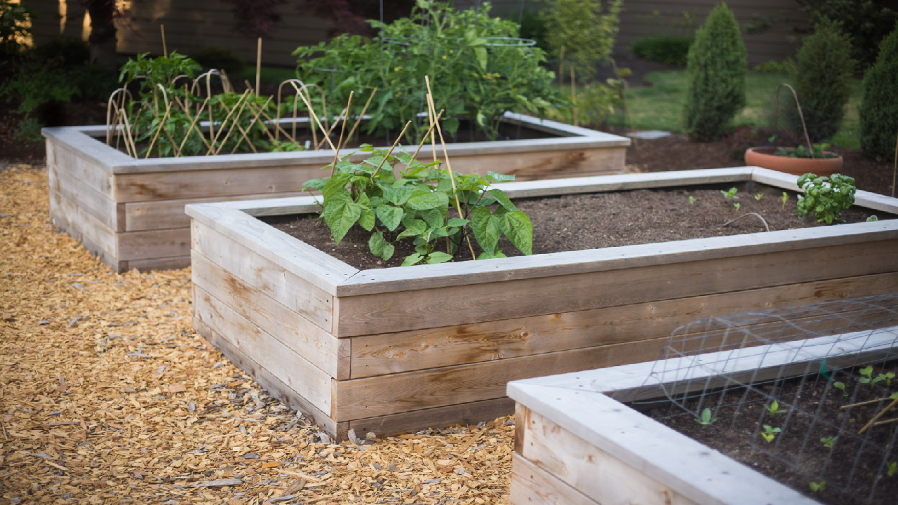 Essential Tips for Maintaining Healthy Soil in Raised Garden Beds Essential Tips for Maintaining Healthy Soil in Raised Garden Beds
