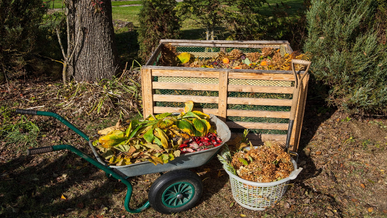 Countertop Compost Bin - Kitchen compost bin with EZ-No Lock Lid