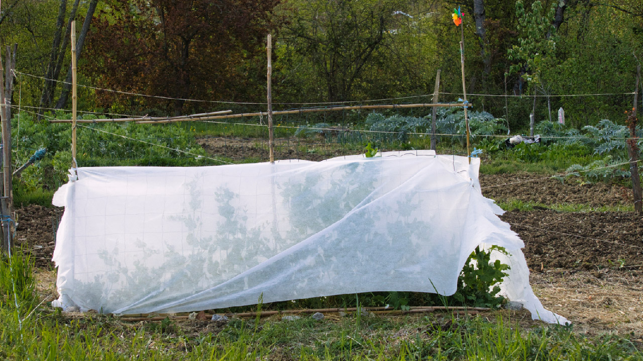 Things You Should Do with Your Vegetable Garden Space At the End of the Growing Season