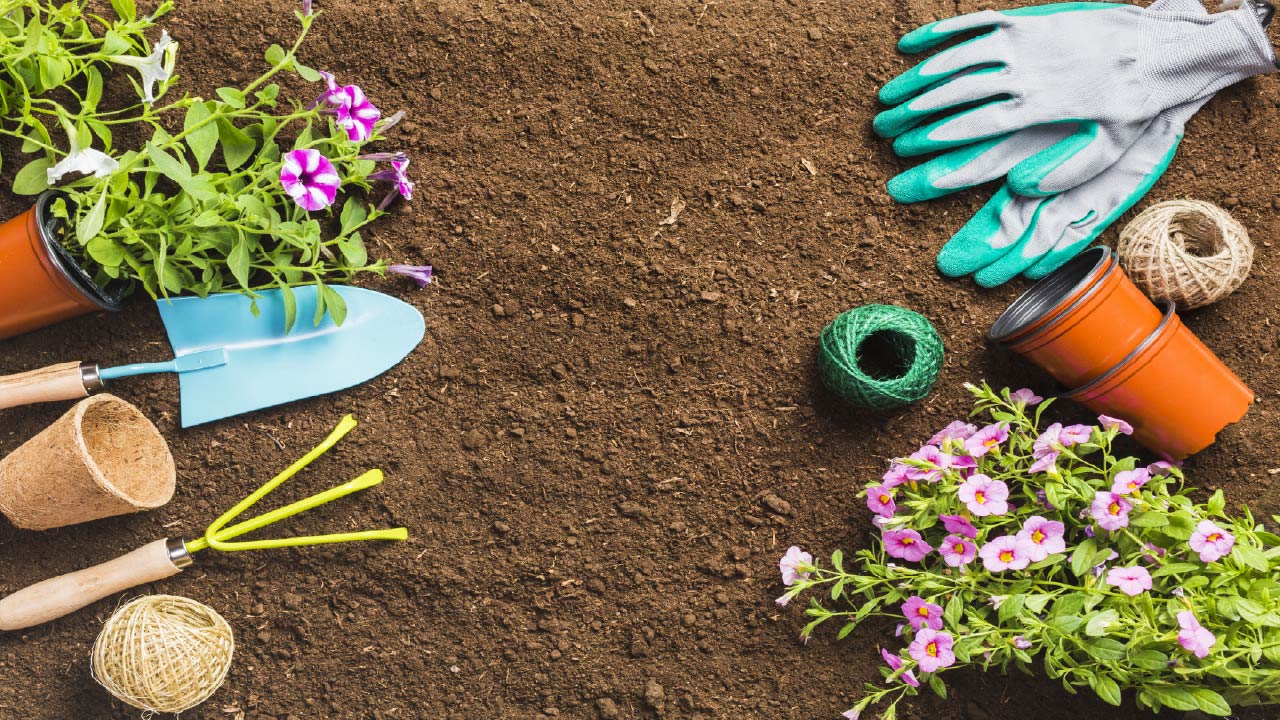 10 Must-have Garden tools Needed for a Vegetable Garden