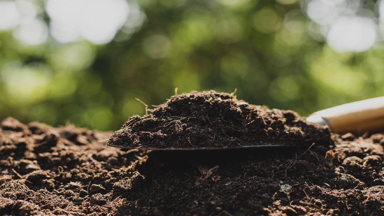 A Beginner’s Guide to Improving Garden Soil