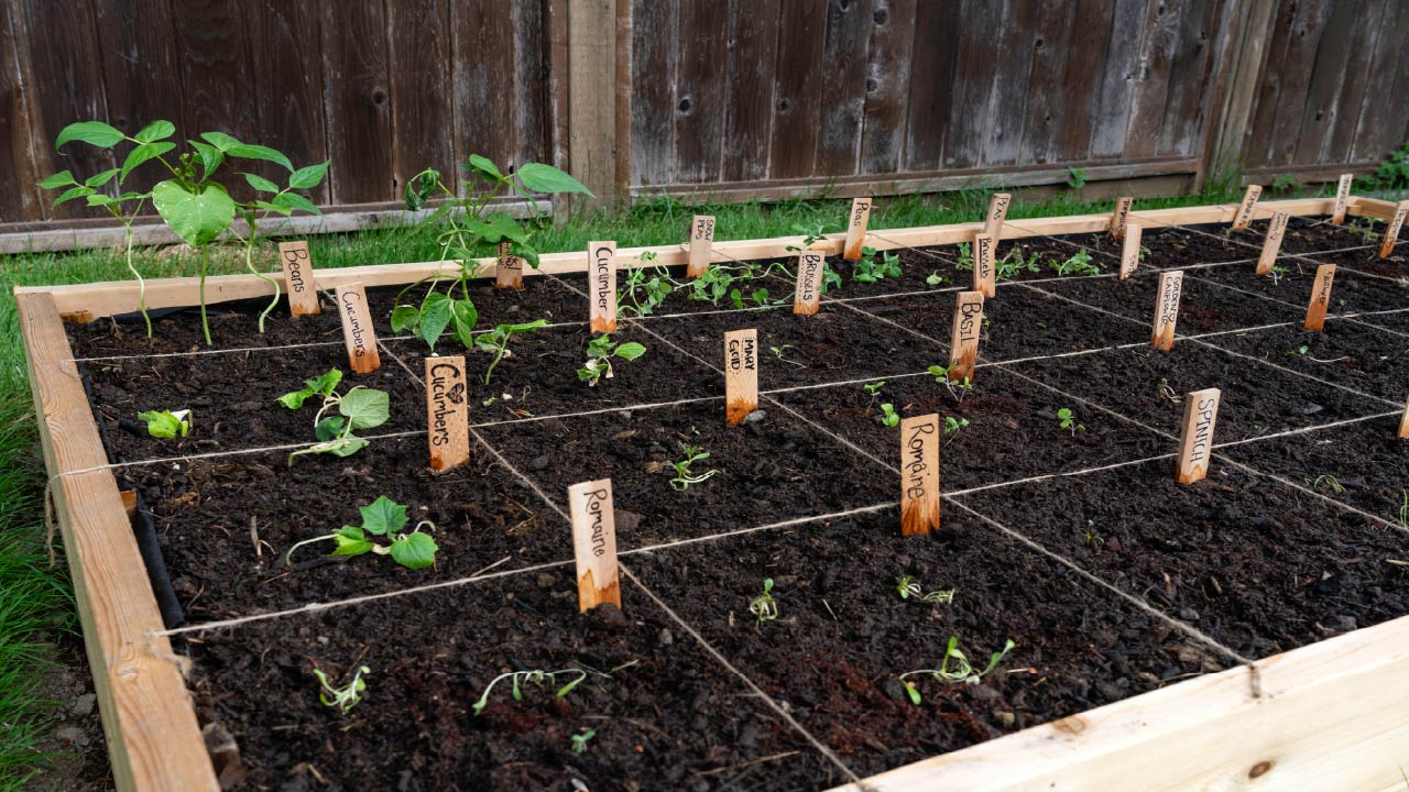 A Seasonal Gardening Checklist for Beginners A Seasonal Gardening Checklist for Beginners