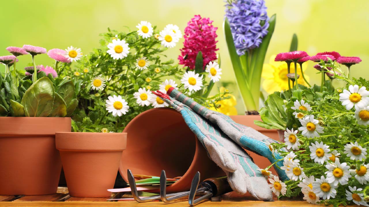 10 Garden Gifts for Grandma: Ergonomic Tools and Accessories