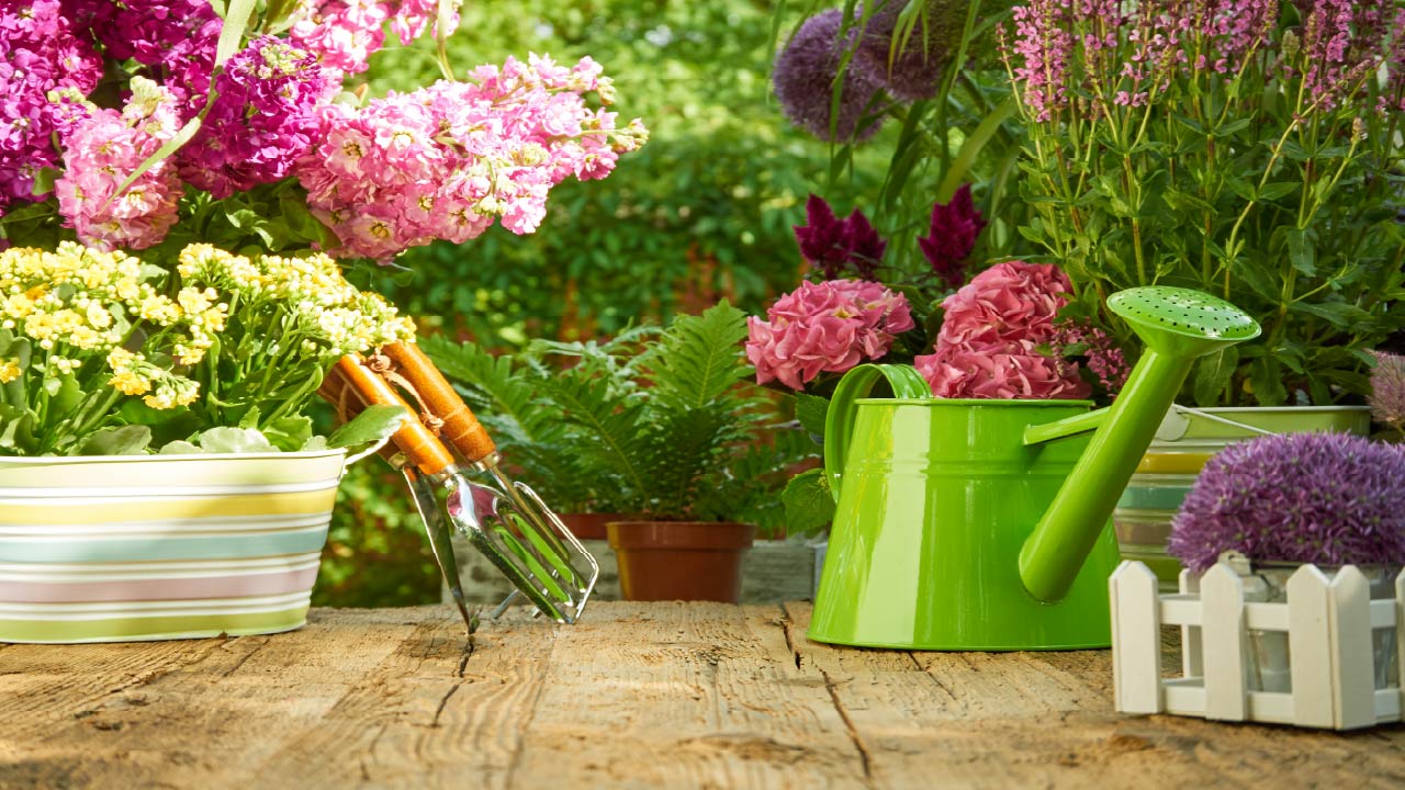 10 Garden Gifts for Grandma: Ergonomic Tools and Accessories