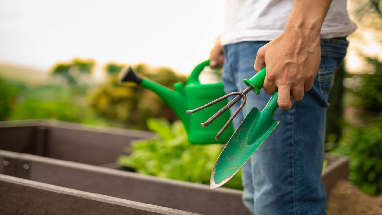 Essential May Garden Tips to Keep Your Garden Thriving