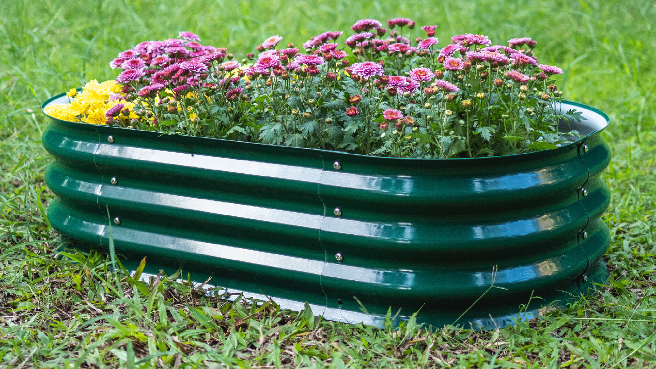 A Beginners Guide to Starting A Raised Bed Garden A Beginners Guide to Starting A Raised Bed Garden